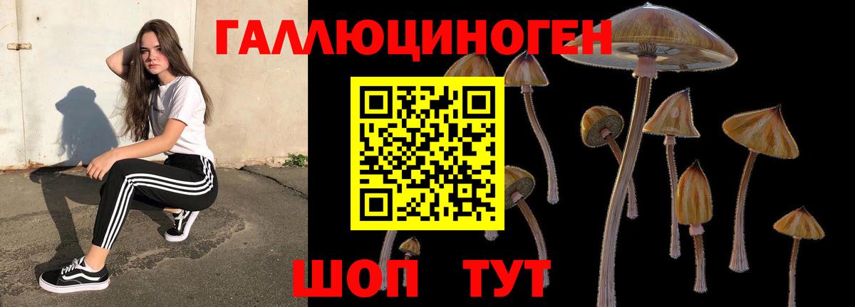 Псилоцибиновые грибы GOLDEN TEACHER  наркошоп  Карачаевск  Вход с VPN 